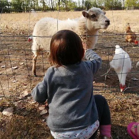 Kemping Aire Naturelle La Loire Fleurie