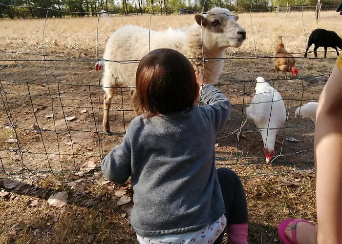 キャンプ場 Aire Naturelle La Loire Fleurie