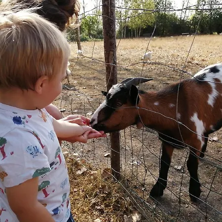 Aire Naturelle La Loire Fleurie Camping *