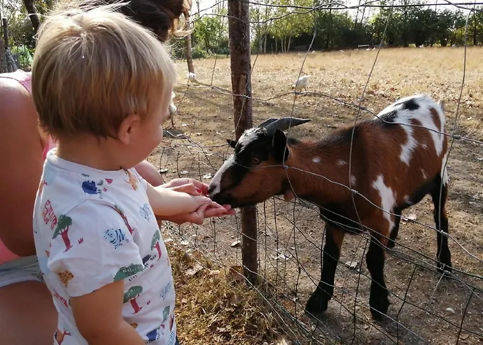 Aire Naturelle La Loire Fleurie Кемпинг *